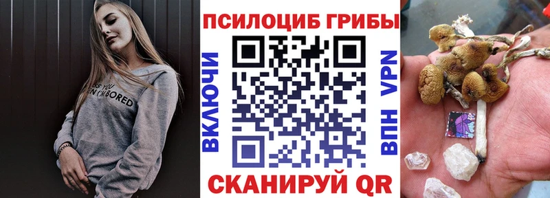 сколько стоит  Плавск  Галлюциногенные грибы MAGIC MUSHROOMS 